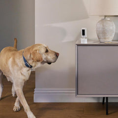 Pet Enhanced Kit Pan Tilt Indoor Cam with Pet Tag
