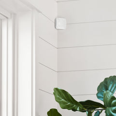 Motion Detector (Newest Model) Ring Sensors