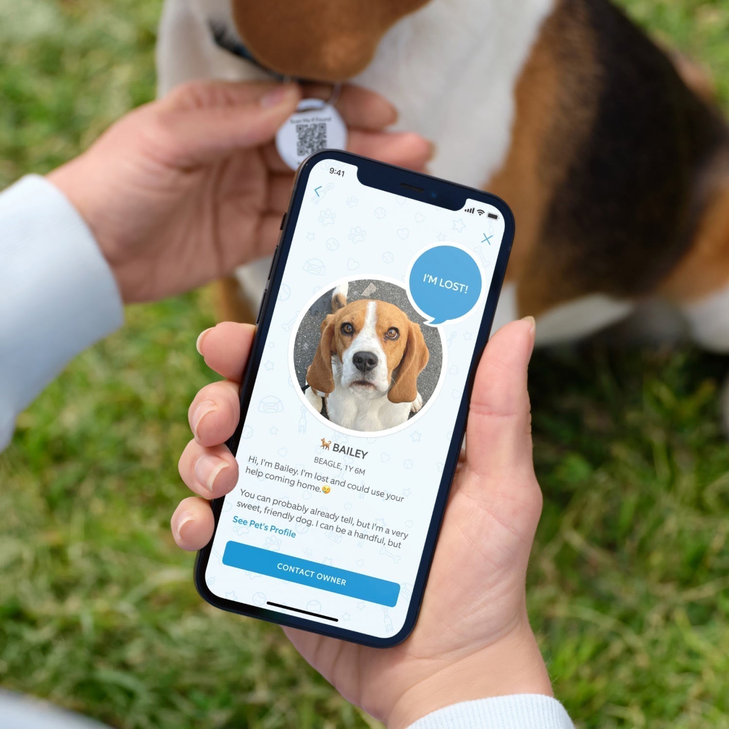 3-Pack Pet Tag