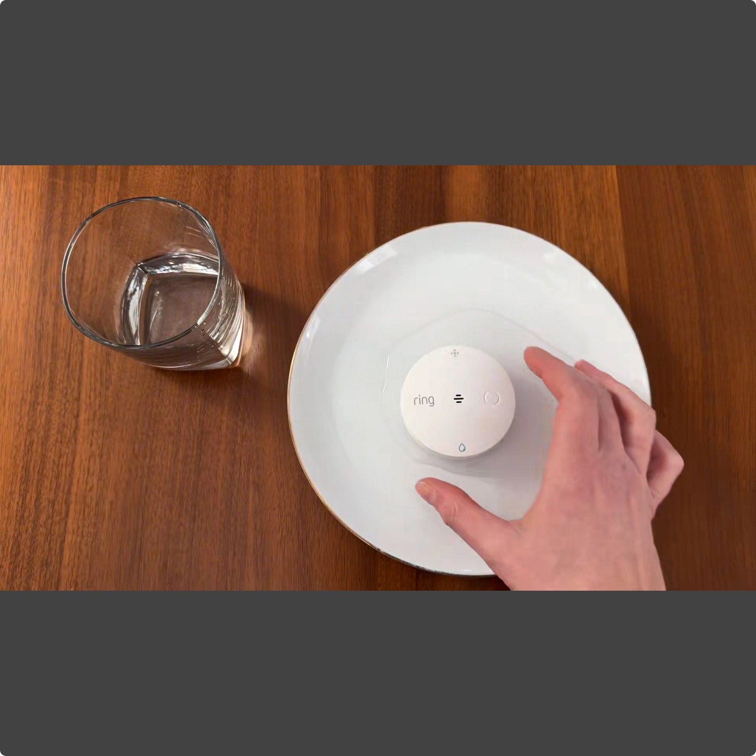 Flood & Freeze Sensor (Newest Model) Ring Sensors