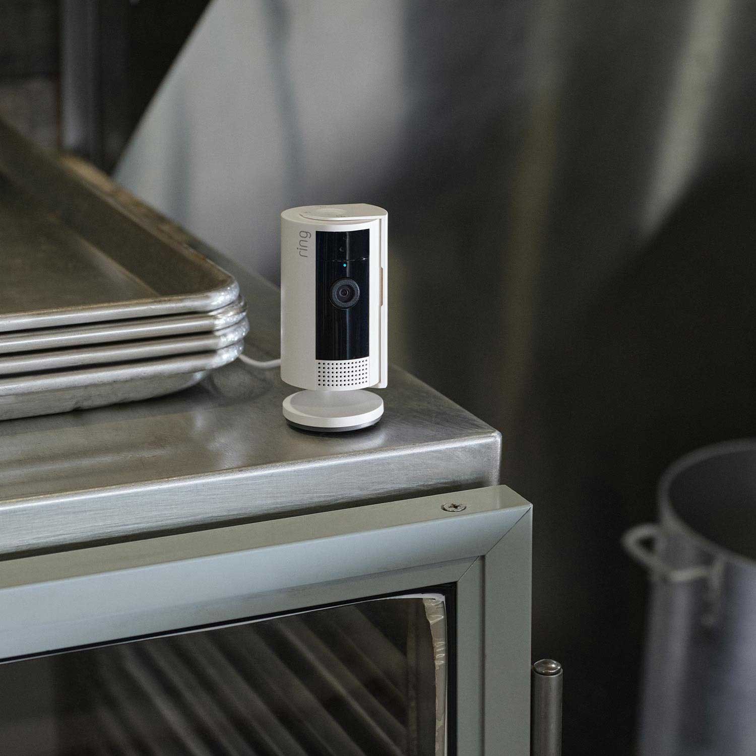 Restaurant Starter Kit (Plug-In) Outdoor Cam Plus Plug-In + Indoor Cam