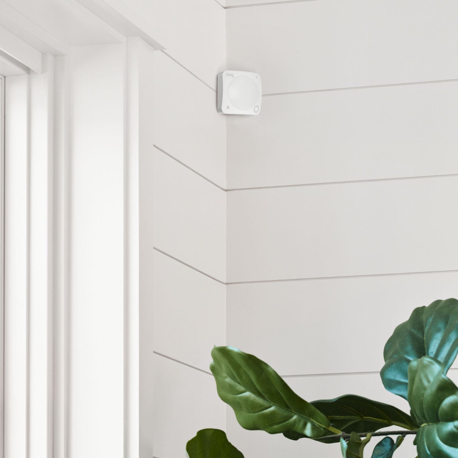 Motion Detector (Newest Model) Ring Sensors