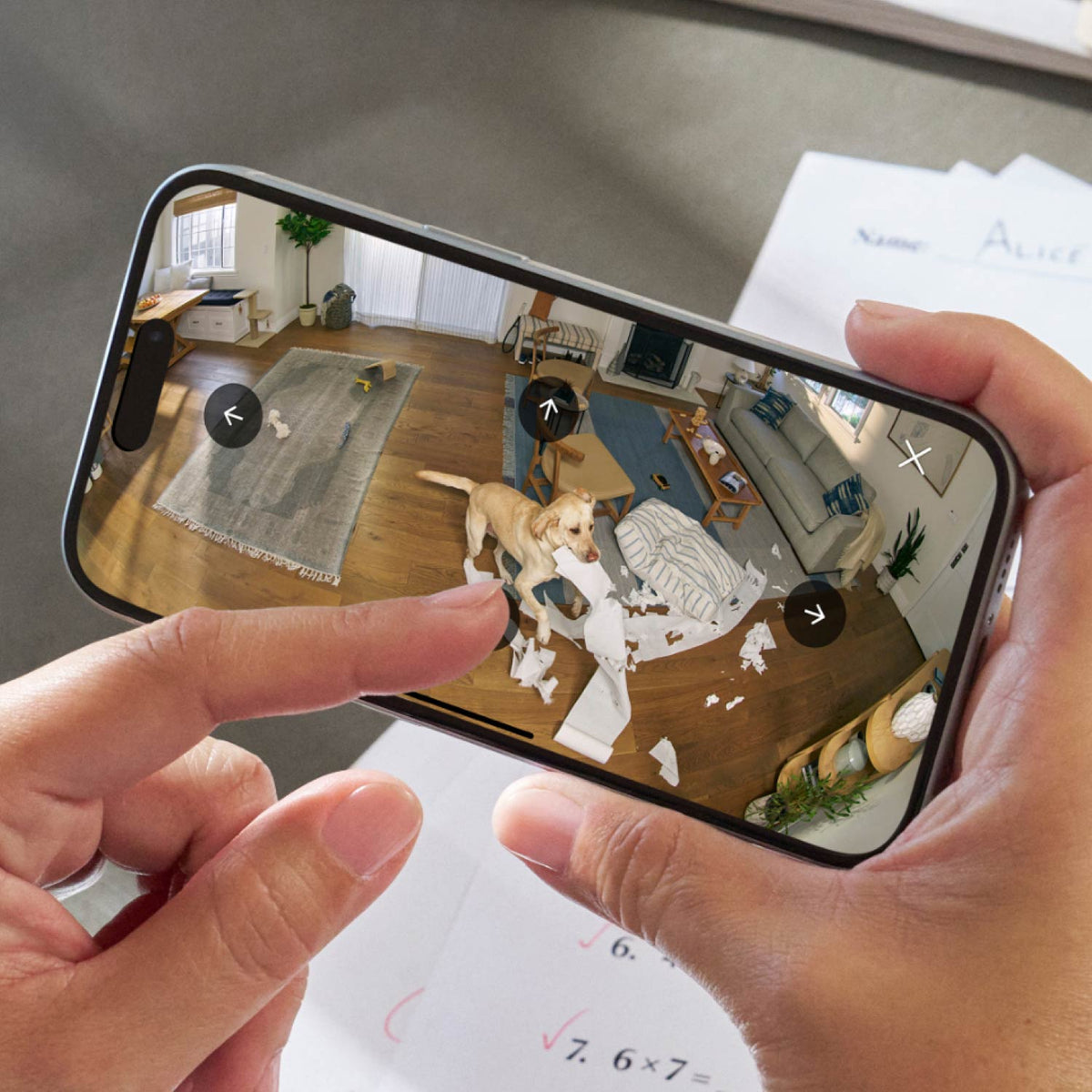 Pan-Tilt Indoor Cam + Spotlight Cam Plus Plug-In